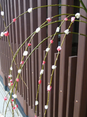 今日は「小正月」