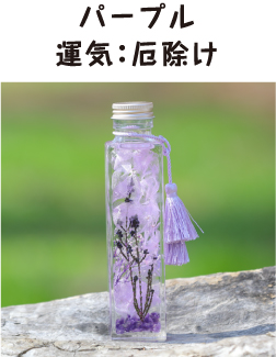 パープル　運気：厄除け