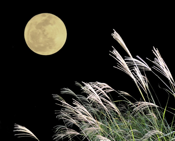 10月21日は「十三夜」
